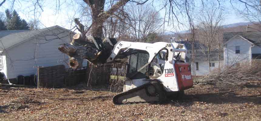 Stacked logs from a land clearing project ready for removal
