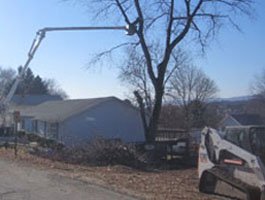 Extended reach trimming on tall branches using specialized equipment