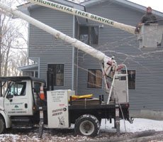 Environmental Tree Service crew performing a large tree removal in a residential yard